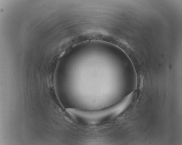 X0000063530965200601271857