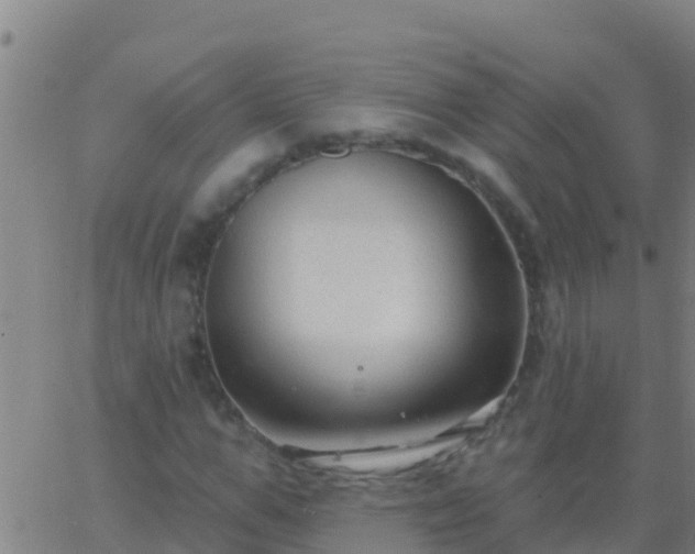 X0000063530967200601271857