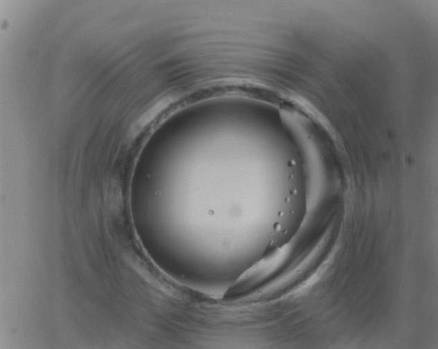 X0000063530969200601271857