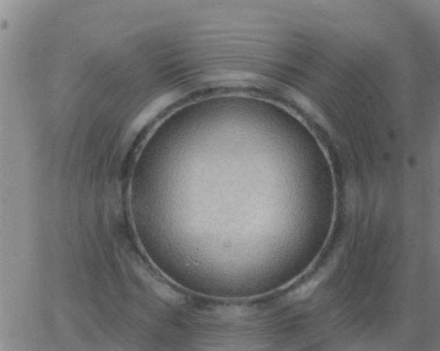 X0000063530970200601271857