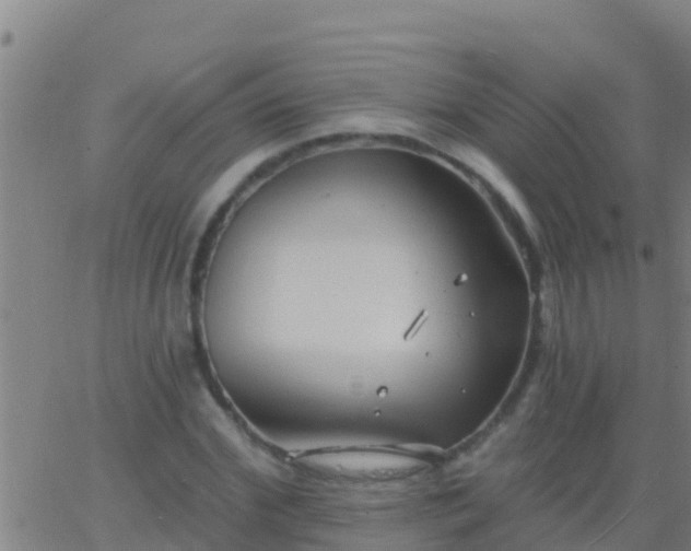 X0000063530972200601271857