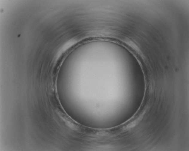 X0000063530974200601271857