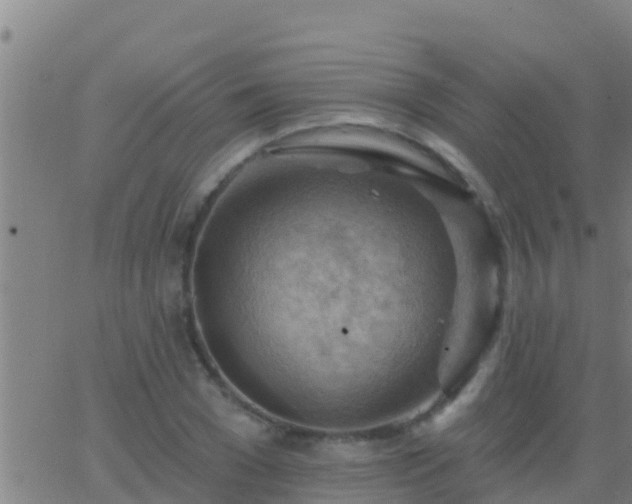 X0000063530977200601271857