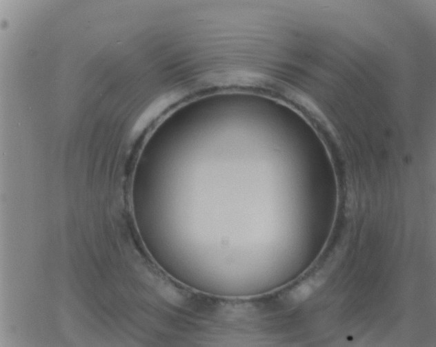 X0000063530978200601271857