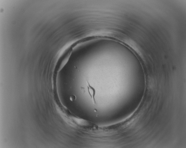 X0000063530980200601271857