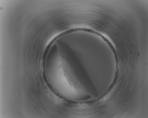 X0000063530983200601271857