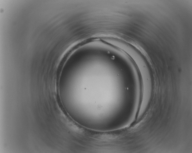 X0000063530984200601271857