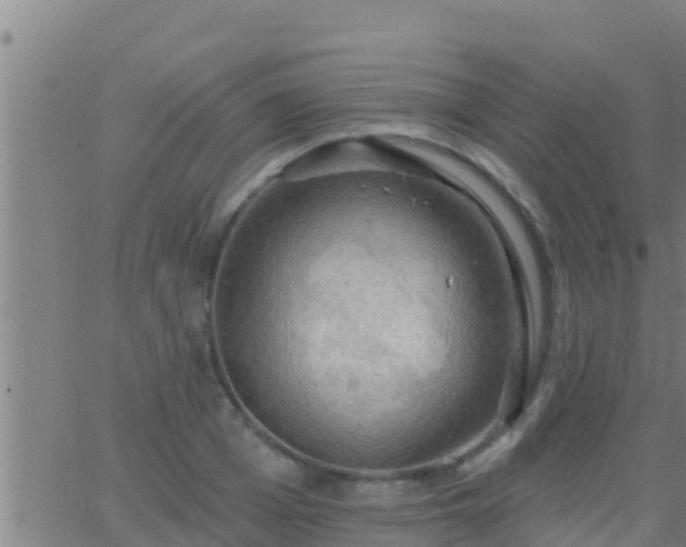 X0000063530985200601271856