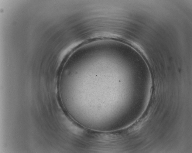 X0000063530987200601271856