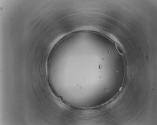 X0000063530988200601271856