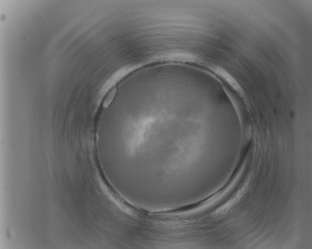 X0000063530989200601271856