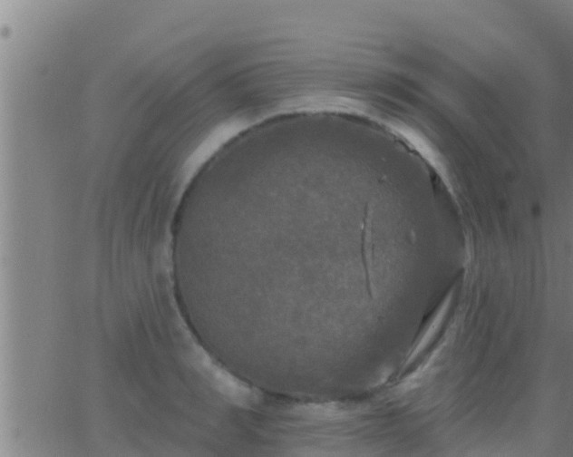 X0000063530990200601271856