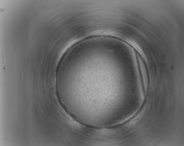 X0000063530992200601271856