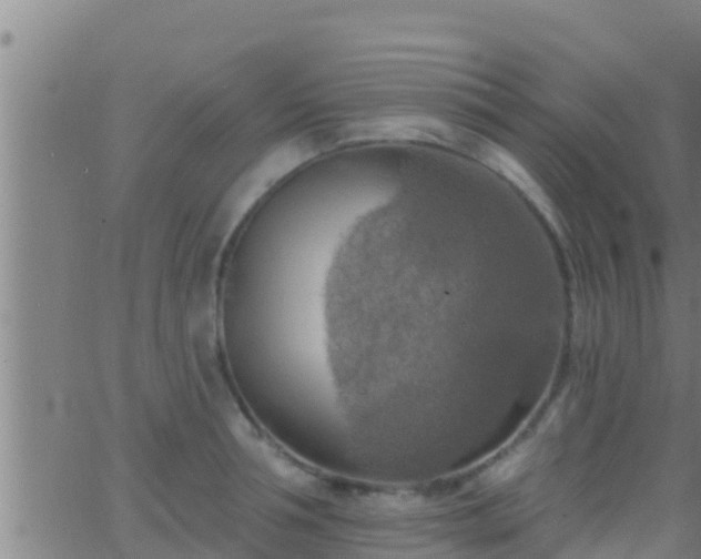 X0000063530994200601271856