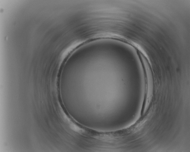 X0000063530995200601271856