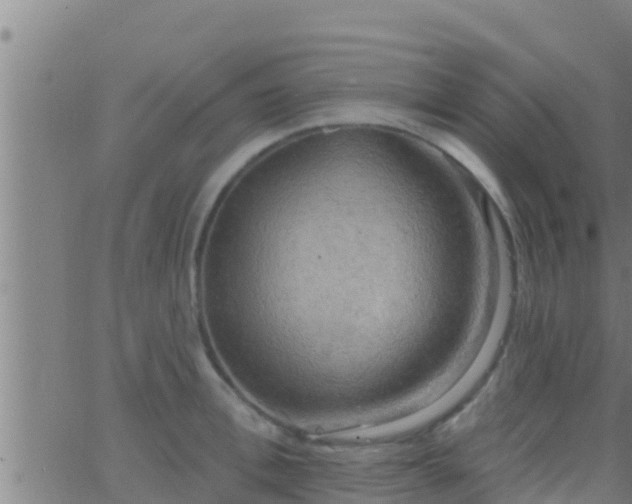 X0000063530996200601271856