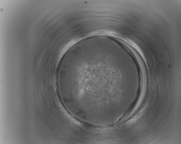 X0000063530997200601271856