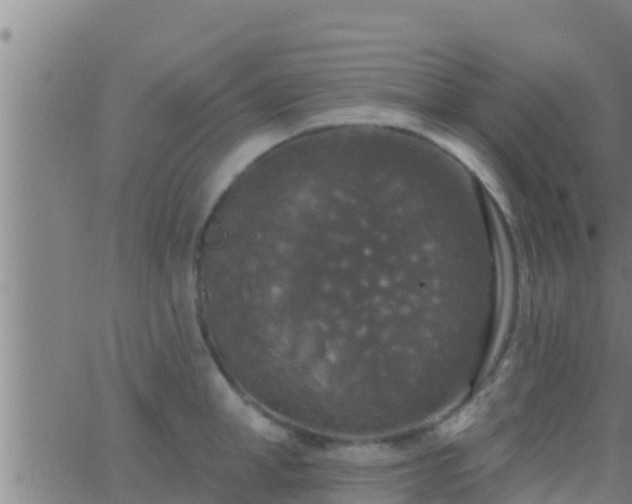 X0000063530998200601271856