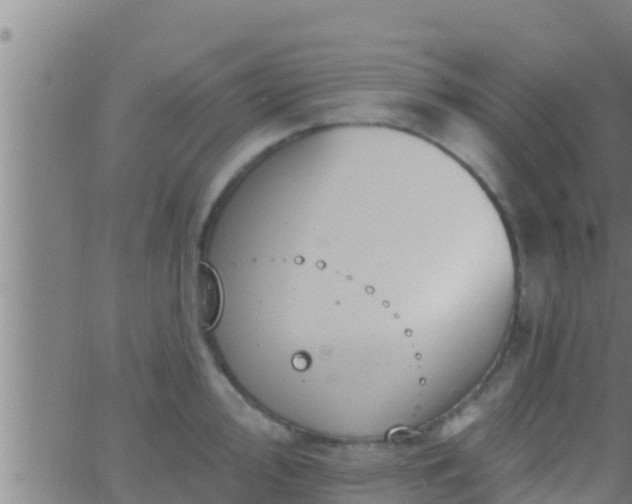 X0000063531000200601271856