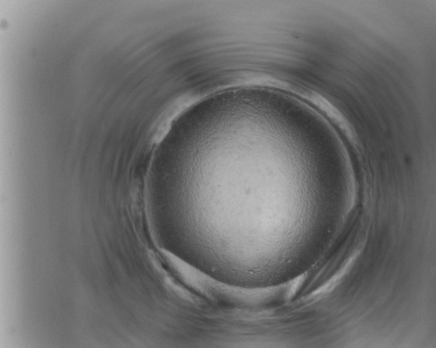 X0000063531001200601271856