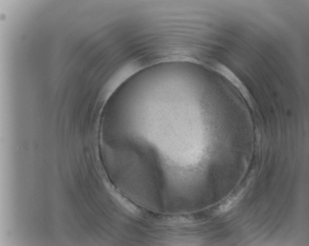 X0000063531002200601271856