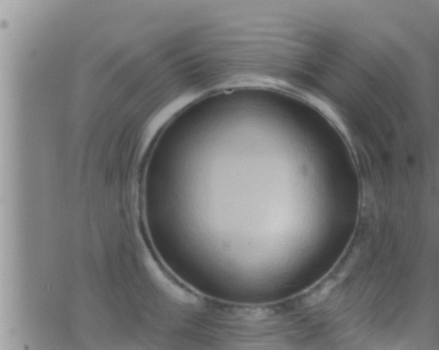 X0000063531003200601271856