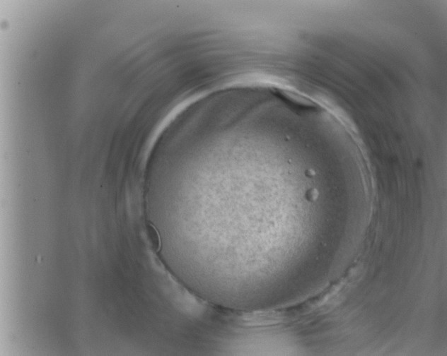 X0000063531008200601271856