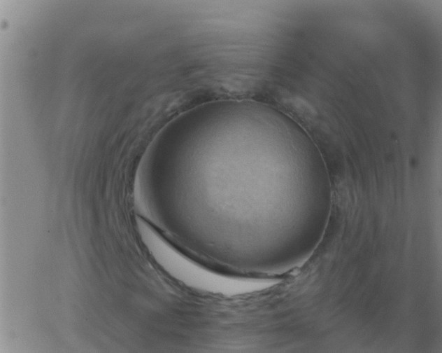 X0000063531009200601271855