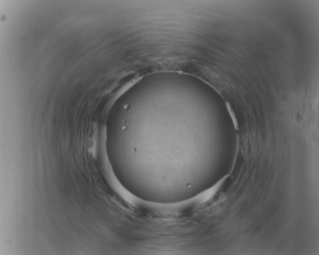 X0000063531010200601271855