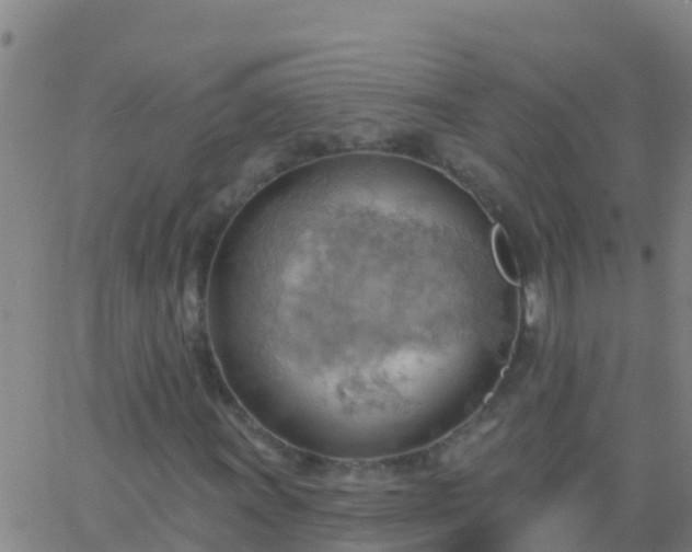 X0000063531011200601271855