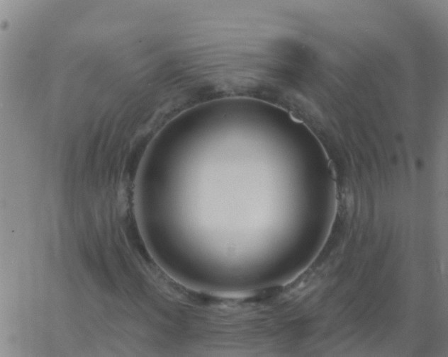 X0000063531012200601271855