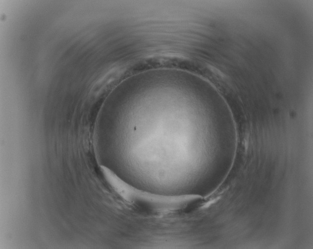 X0000063531014200601271855