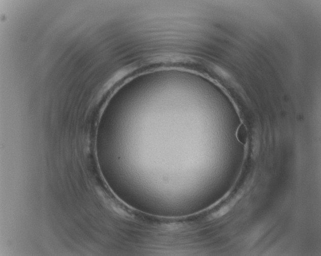 X0000063531017200601271855