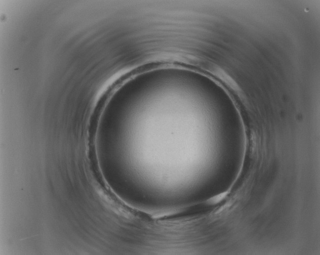 X0000063531020200601271856