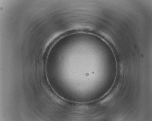 X0000063531021200601271856