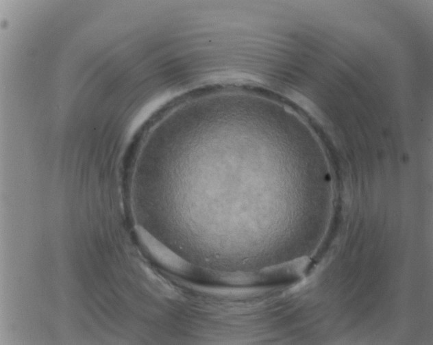 X0000063531022200601271856