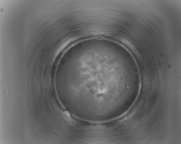 X0000063531023200601271856