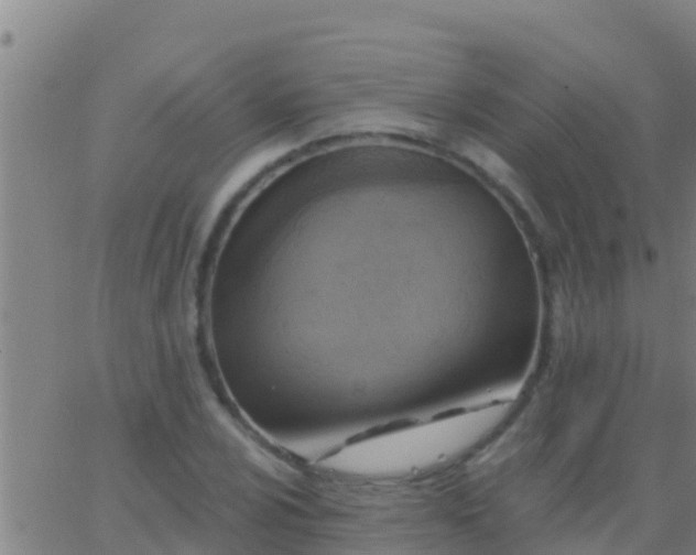 X0000063531024200601271856