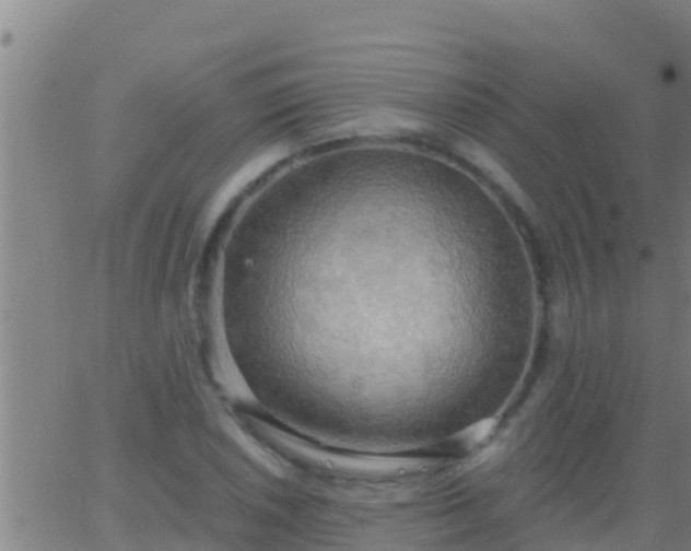 X0000063531026200601271856