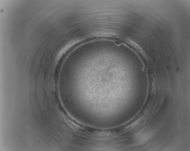 X0000063531027200601271856