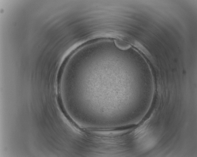 X0000063531028200601271856