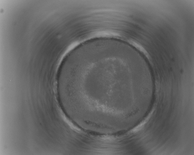 X0000063531029200601271856