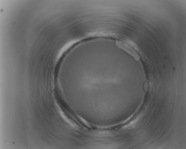 X0000063531030200601271856