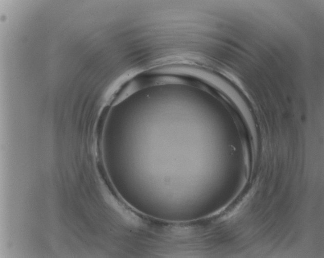 X0000063531034200601271856