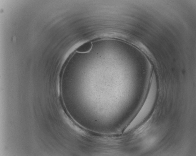 X0000063531036200601271856