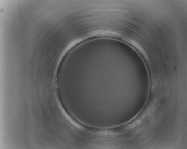 X0000063531037200601271856