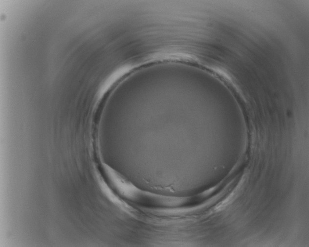 X0000063531038200601271856