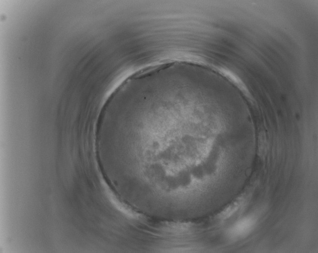 X0000063531039200601271856