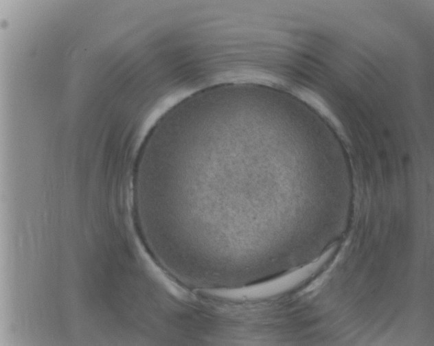 X0000063531040200601271856