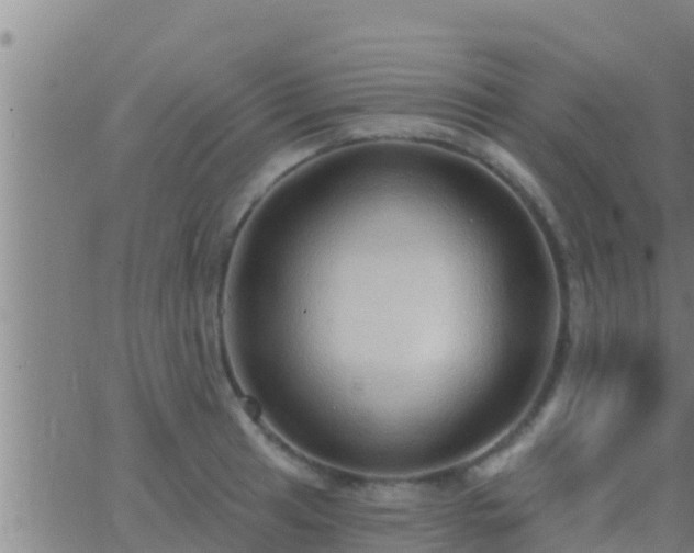 X0000063531041200601271856